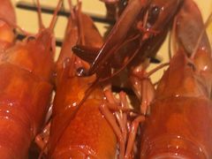 -肥肥虾庄·金牌油焖大虾(杨园滨江时代walk店)