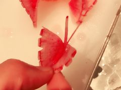 -松葉日料(三胞广场店)