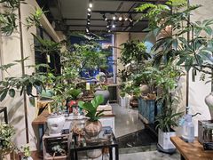 -弗劳尔花艺坊(龙涛店)