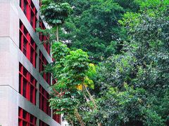 -香港大学