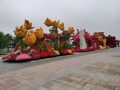 -荷兰花海