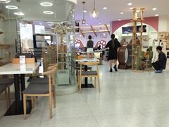 -喵园·猫主题咖啡厅·撸猫·猫咖(国贸店)