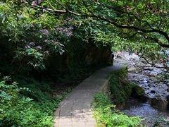 -西岭雪山大飞水景区