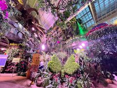 -正佳雨林生态植物园