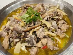 -陈三娃泡姜鸡