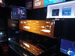 -同济大学四平路校区深海探索馆