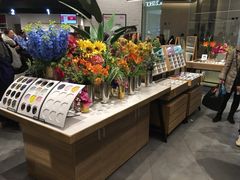 -JINS(天津大悦城店)