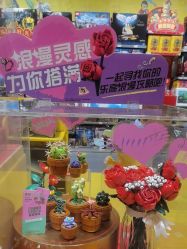 -乐高授权专卖店(朝阳大悦城店)