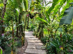 -中国科学院西双版纳热带植物园