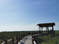 -北海金海湾红树林生态旅游区