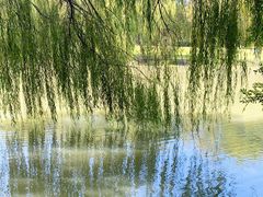 -九里河湿地公园