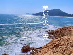 -广东惠东海龟国家级自然保护区