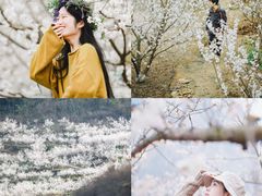 -樱桃山旅游景区