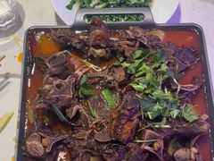 -杨氏青龙虾·羊蝎子(托乐嘉店)