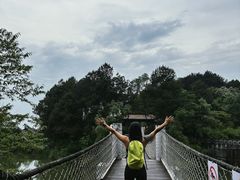 -铁山坪森林公园