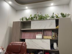 -清雅诗韵丽人产后恢复(回龙观店)
