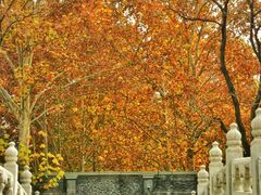 -北京动物园-畅观楼