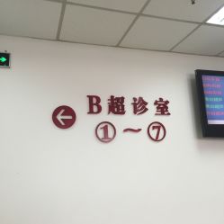 -复旦大学附属妇产科医院(黄浦院区)