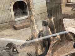 -昆明动物园