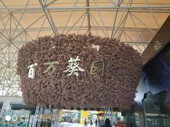 -百万葵园