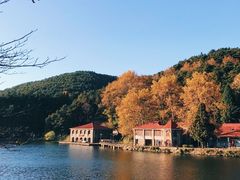 -庐山风景区花径公园