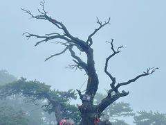 -华山风景名胜区