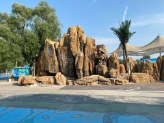 -海盗传奇水世界