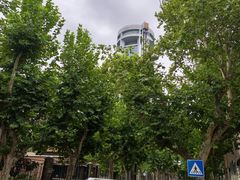 -上海新锦江大酒店