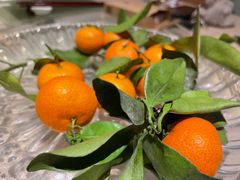 -云来居素食馆(南山店)