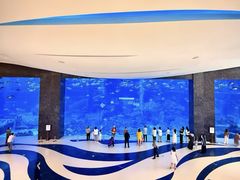 -亚特兰蒂斯-番红花海鲜自助餐厅·鲜活海鲜·小火锅