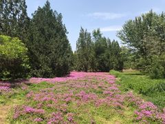 -北京麋鹿生态实验中心