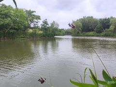 -梁鸿国家湿地公园