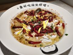 老坛酸菜鲈鱼-江渔儿酸菜鱼(东厦一百店)