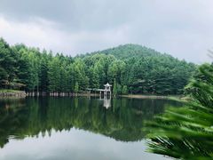 -四明山国家森林公园