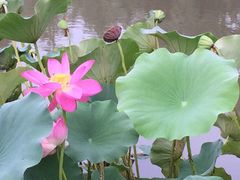 -中家鑫园温泉酒店鑫悦汤泉