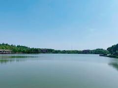 -上海海湾国家森林公园