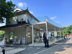 -青龙山国家森林公园