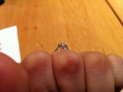 满满爱心的戒拖哦-威德钻石-克拉钻大本营(南京东路店)