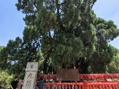 -四门塔风景区