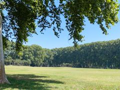 -河南省黄河迎宾馆