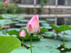 -绍兴鉴湖君澜大酒店