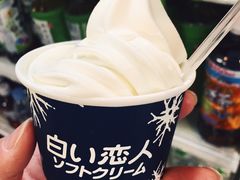-关西国际机场直营免税店