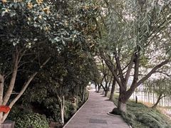 -天目湖山水园