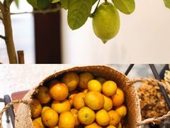 -肥朵食堂(带梦胡同店)