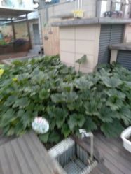 -梦田都市农场(银泰城店)