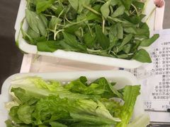 -正能量脆肉鲩火锅