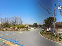 -上海长兴岛郊野公园