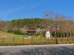 -棒棰岛宾馆景区