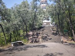 -榴花公园