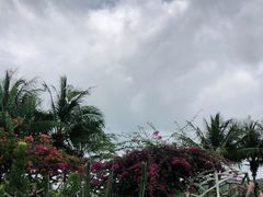 -亚龙湾国际玫瑰谷